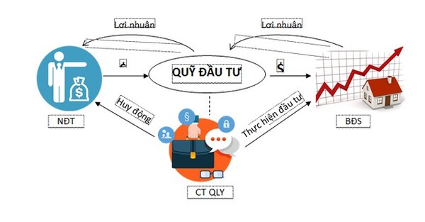 các quỹ đầu tư tại Việt Nam